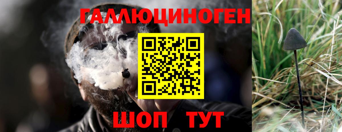Псилоцибиновые грибы ЛСД  Вход с VPN  Майский 
